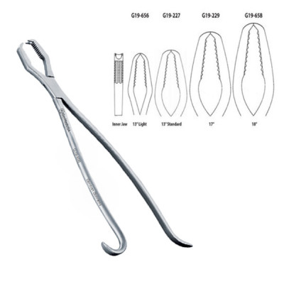 Lane Bone Forceps 13 inch Light without Ratchet