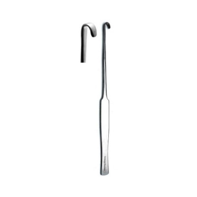 Snook Hook Blunt 8 inch Solid Tip Convex