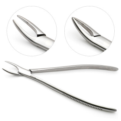 Fragment Forceps 13 inch