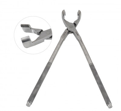 Molar Extraction Forceps 19 inch